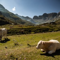 Chemin vers le cirque d'Estaubé