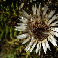 Cirque des Troumouses